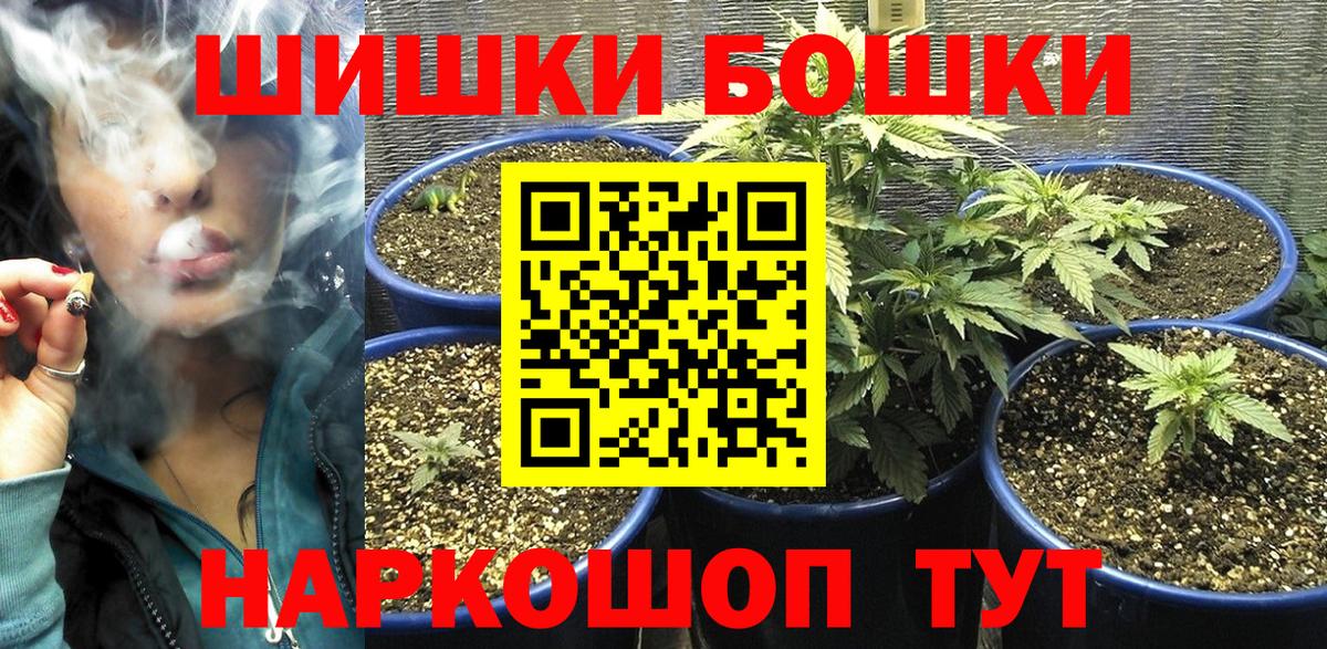 Бошки Шишки план Химки